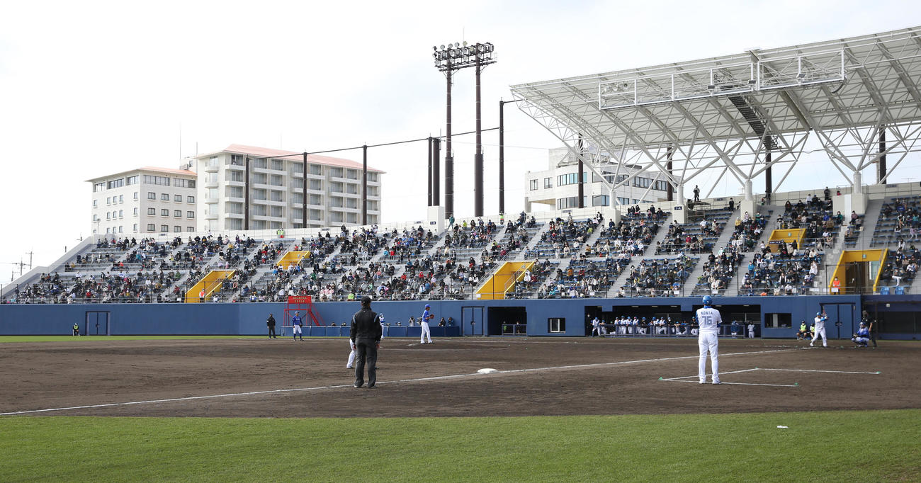 日本ハム対DeNA　宿舎のホテルから試合を見つめる日本ハム新庄監督（撮影・佐藤翔太）