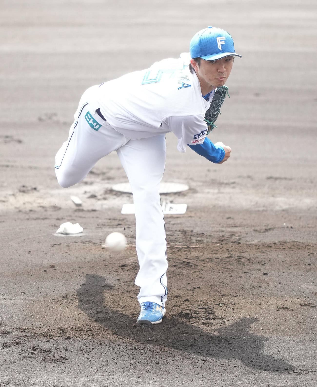 日本ハム対DeNA　先発し力投する日本ハム上沢（撮影・鈴木みどり）