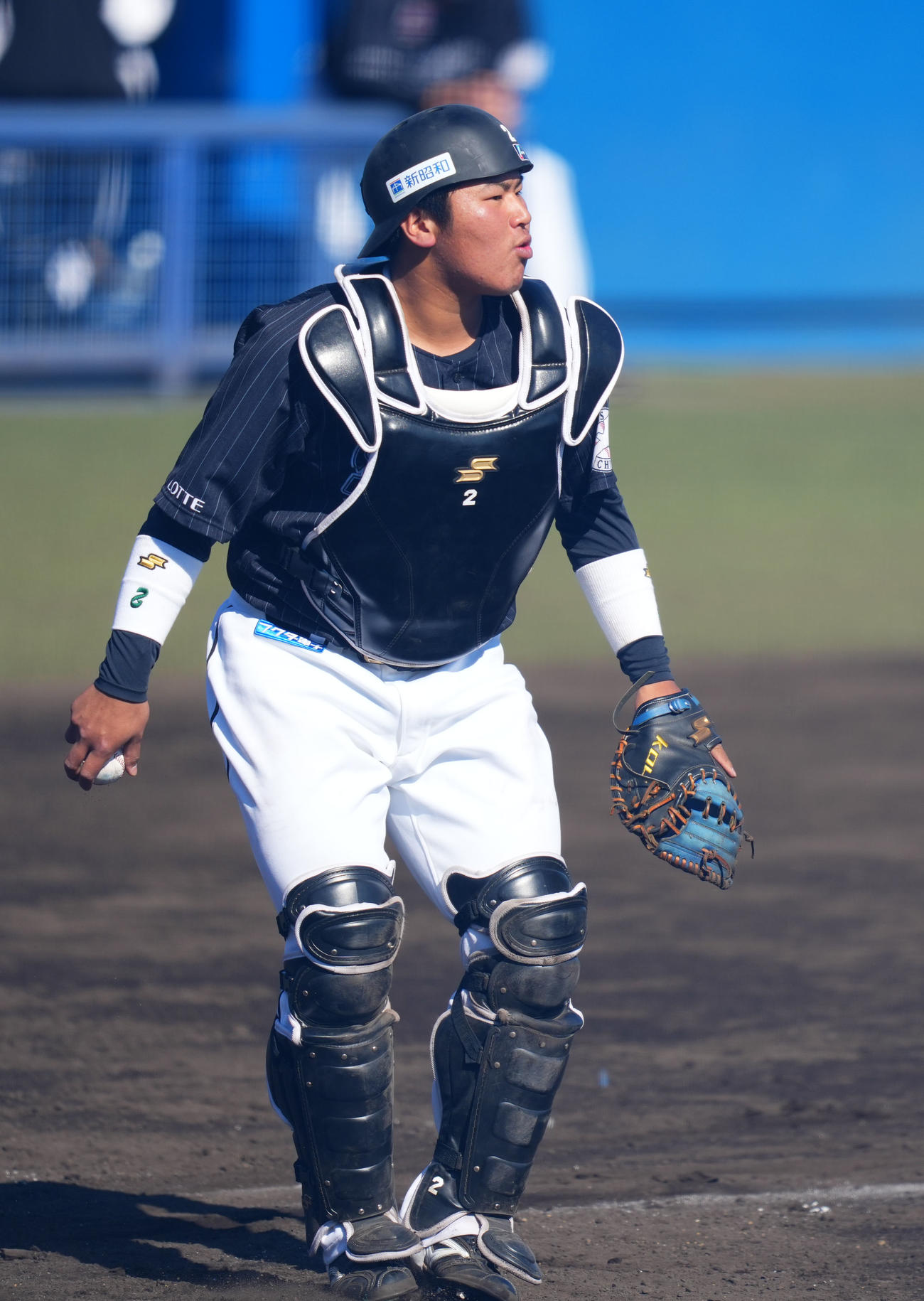 西武対ロッテ　プロ初の先発マスクを被ったロッテ松川（撮影・横山健太）