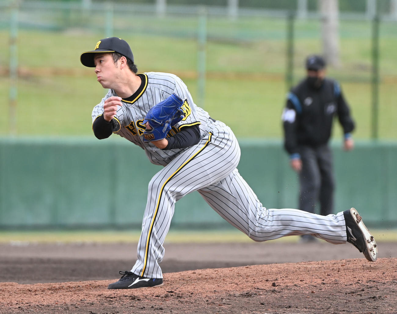オープン戦中日対阪神　4回裏、阪神3番手で登板する青柳（撮影・森本幸一）