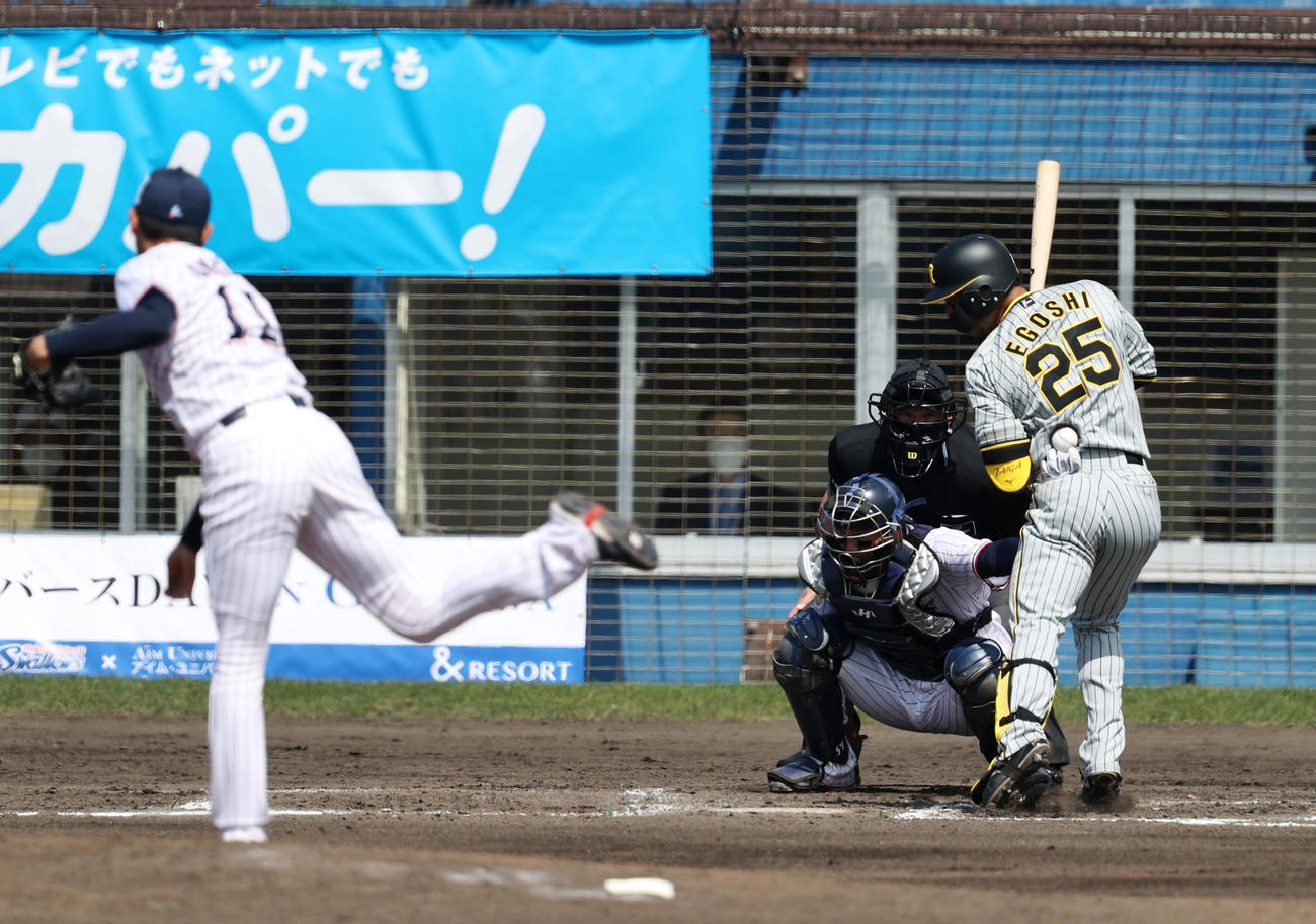 ヤクルト対阪神　3回表阪神無死、江越は死球を受ける。投手は奥川（撮影・加藤哉）