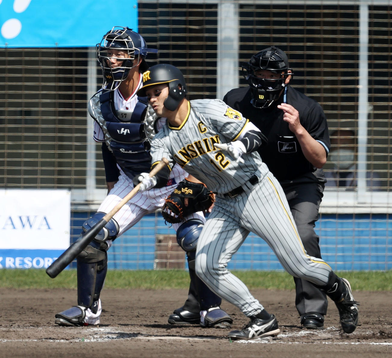 ヤクルト対阪神　3回表阪神無死二塁、坂本は右前適時打を放つ（撮影・加藤哉）