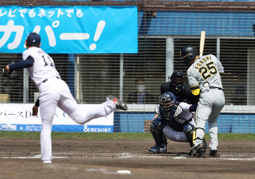 ヤクルト対阪神　3回表阪神無死、江越は死球を受ける。投手は奥川（撮影・加藤哉）