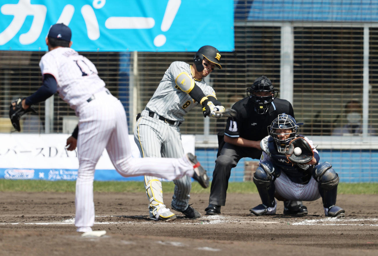 ヤクルト対阪神　2回表阪神1死、佐藤輝は空振り三振に倒れる。投手は奥川（撮影・加藤哉）