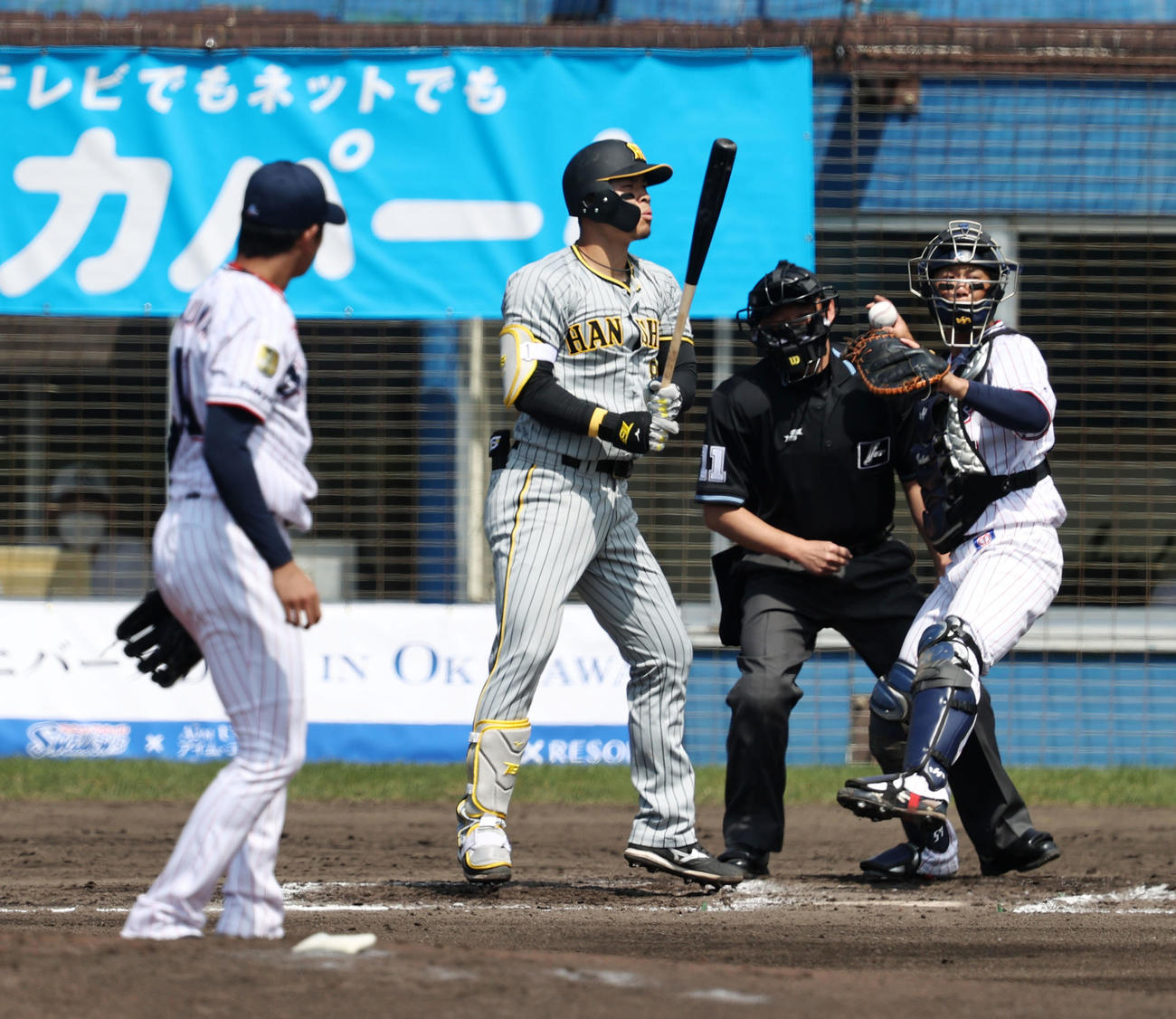 ヤクルト対阪神　2回表阪神1死、佐藤輝は空振り三振。投手は奥川（撮影・加藤哉）