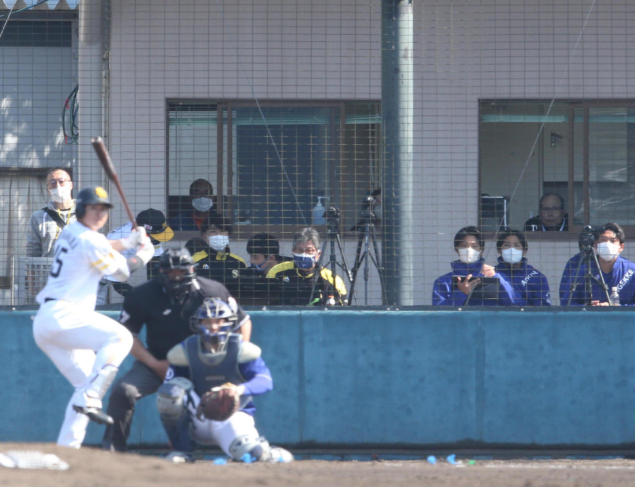 2軍の練習試合を後方から見守る王球団会長（撮影・梅根麻紀）