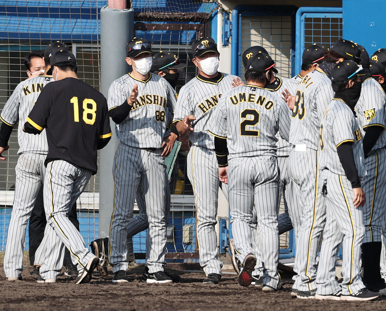ヤクルト対阪神　ヤクルトに勝利しナインを迎える阪神矢野監督（撮影・加藤哉）
