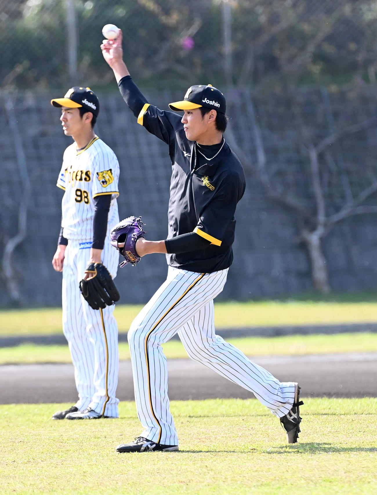 キャッチボールを行う阪神藤浪（撮影・前岡正明）