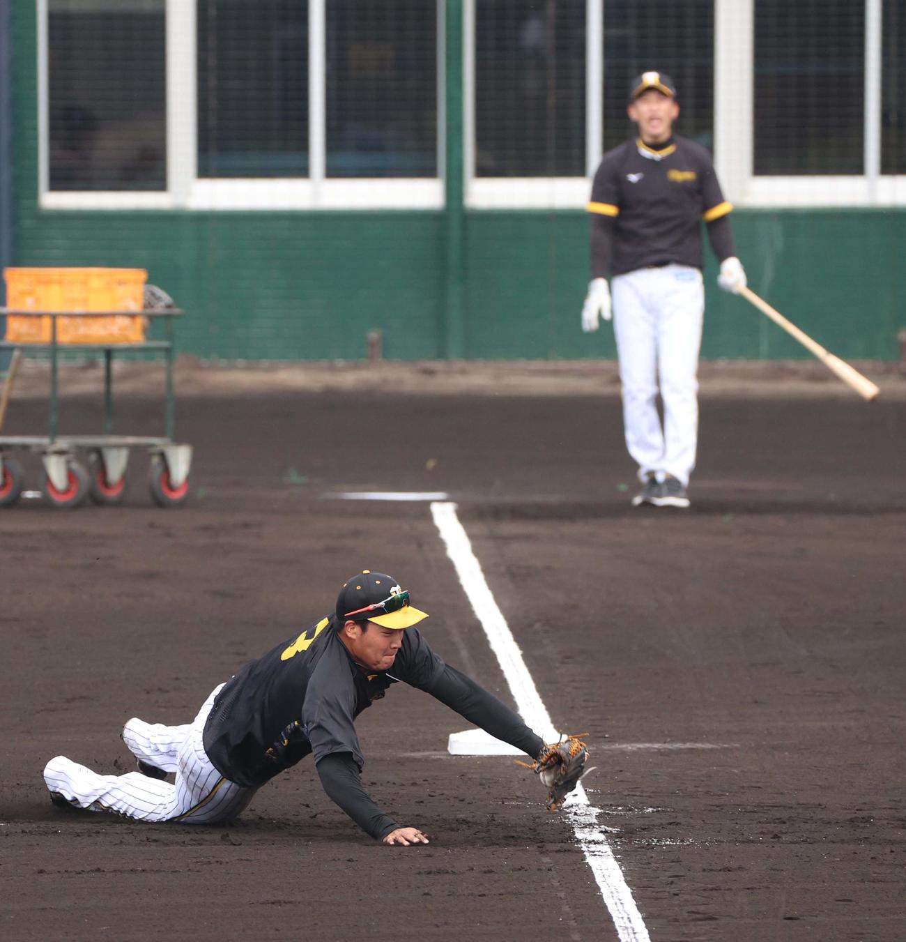 早出特守で矢野監督のノックに飛びつく大山（撮影・上田博志）