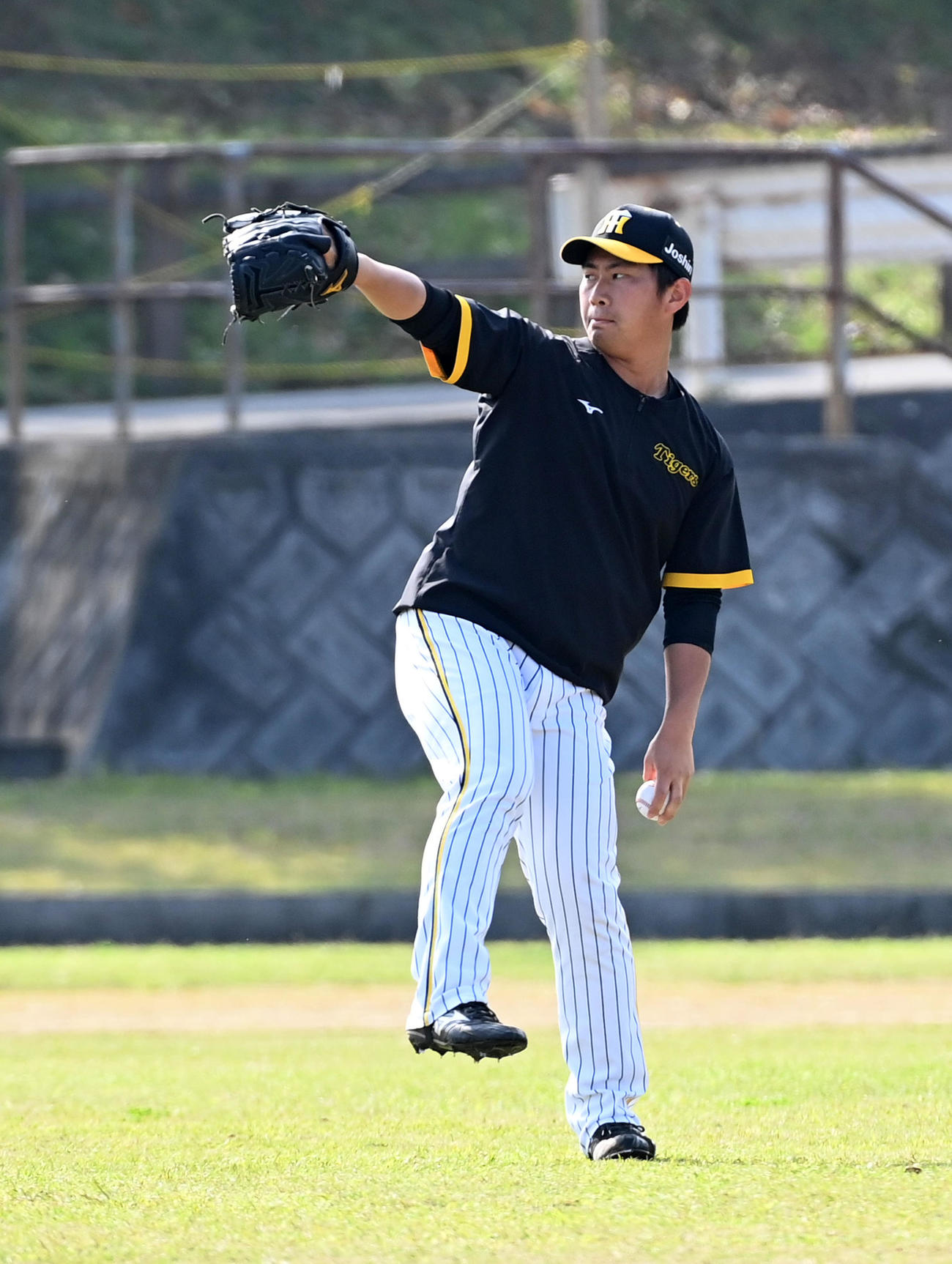 キャッチボールを行う阪神桐敷（撮影・前岡正明）