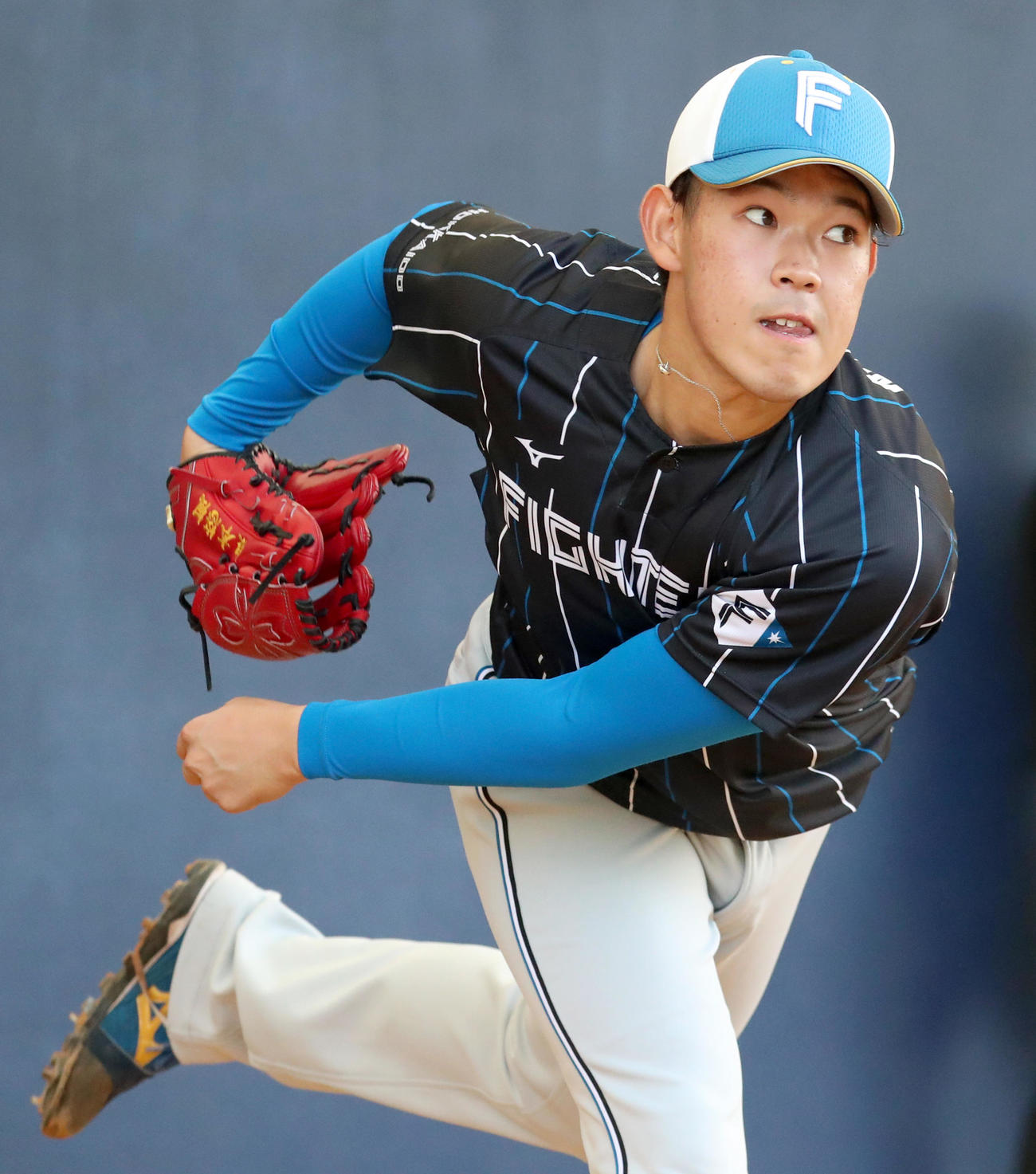 ブルペンで力投する日本ハム根本（撮影・佐藤翔太）