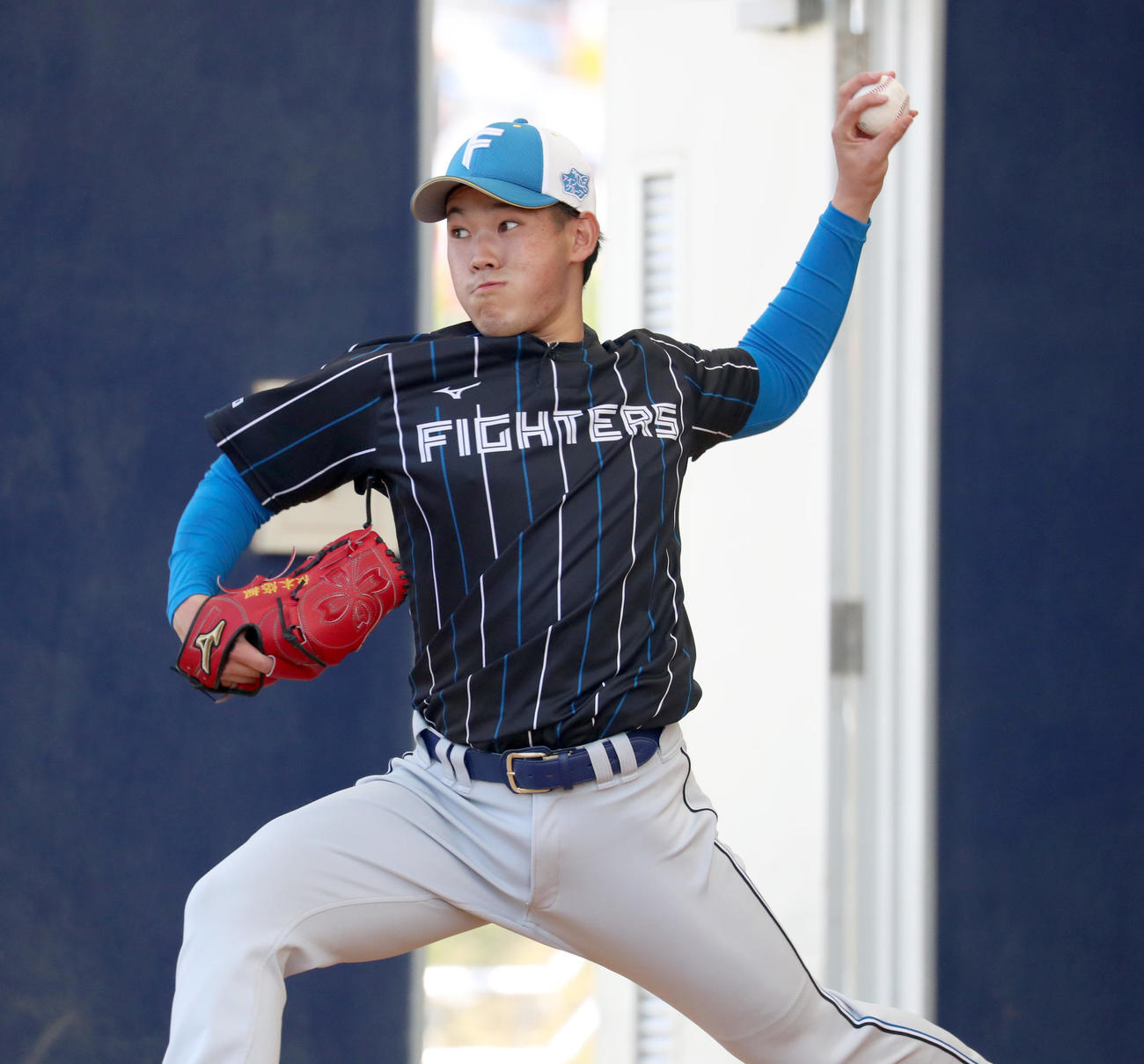 ブルペンで力投する日本ハム根本（撮影・佐藤翔太）