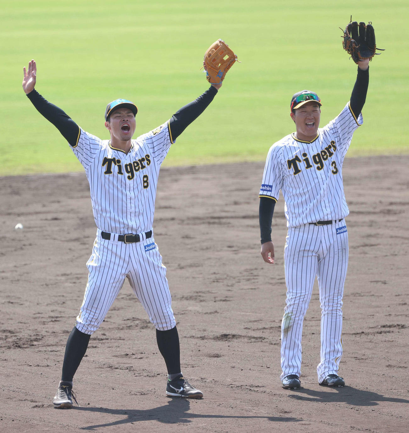 キャンプ最後のシートノックを受ける佐藤輝（左）と大山は大声を出してボールを要求する（撮影・上田博志）
