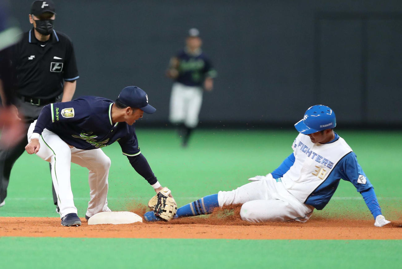 日本ハム対ヤクルト　7回裏日本ハム1死一塁、盗塁を決める石井（撮影・黒川智章）