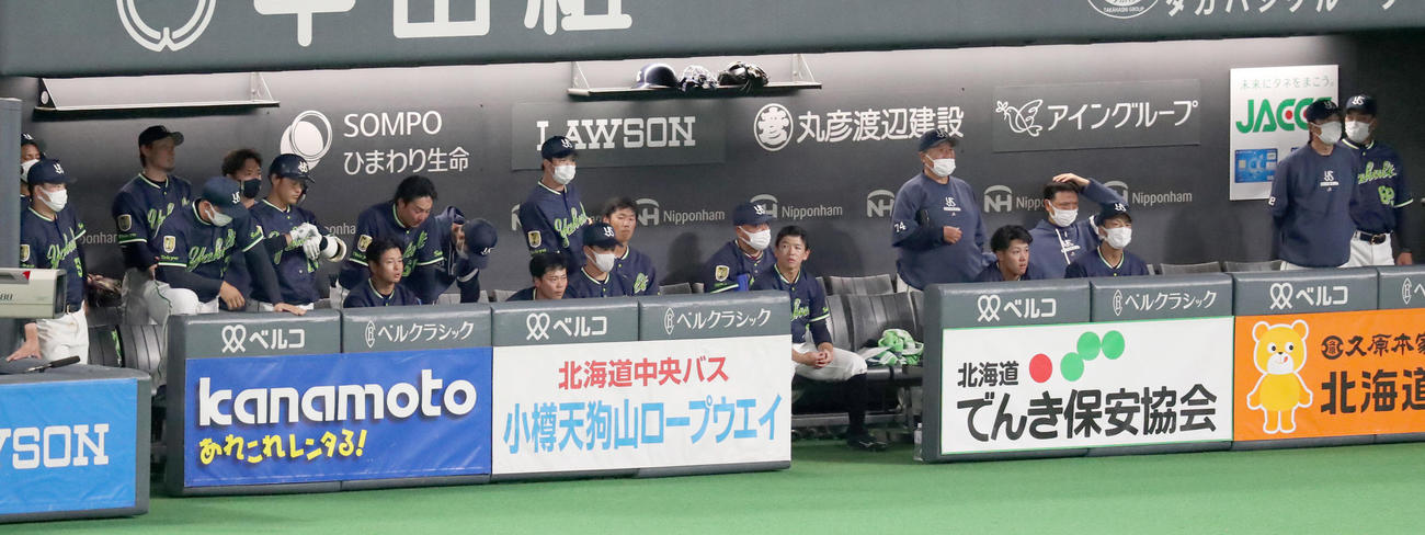 日本ハム対ヤクルト　がっかりした様子のヤクルトベンチ（撮影・佐藤翔太）
