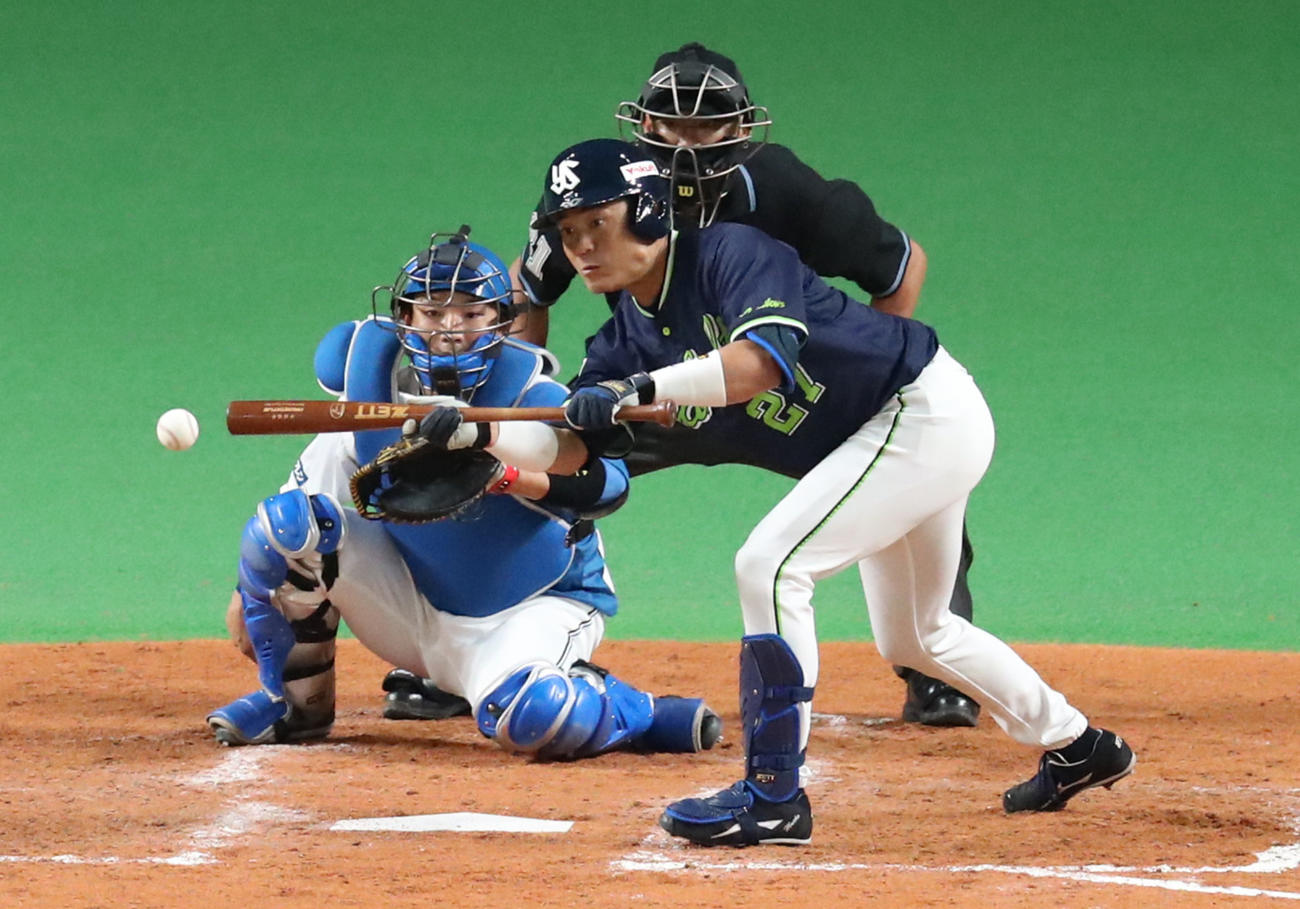 日本ハム対ヤクルト　4回表ヤクルト無死一、二塁、中村はバントを失敗する（撮影・佐藤翔太）