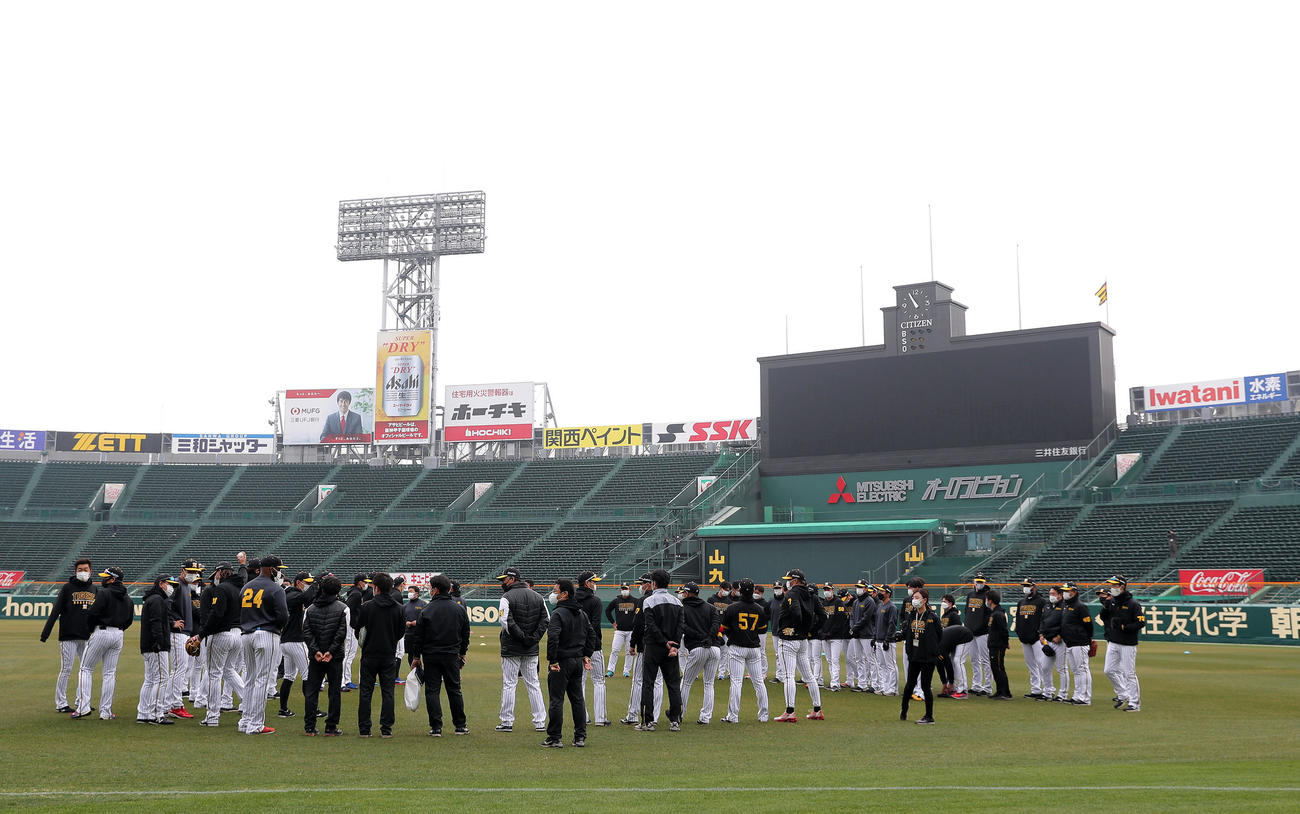 練習前、グラウンド集合する阪神ナイン（撮影・前田充）