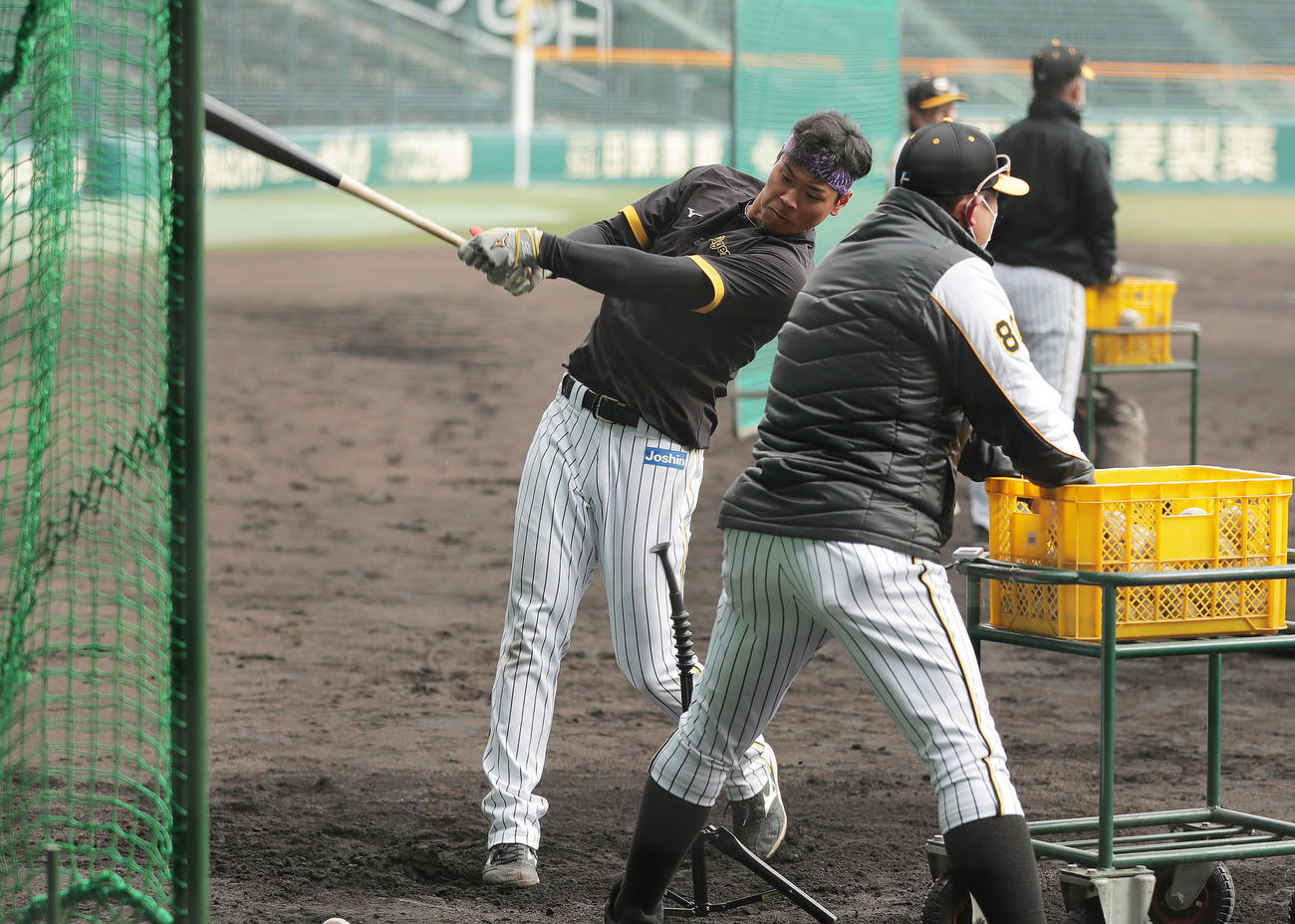 ティー打撃を行う阪神佐藤輝。手前は北川コーチ（撮影・前田充）