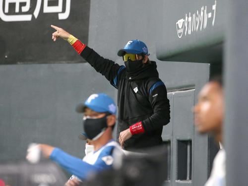日本ハム対ヤクルト　1回表、ベンチから野手に指示を出す新庄監督（撮影・黒川智章）