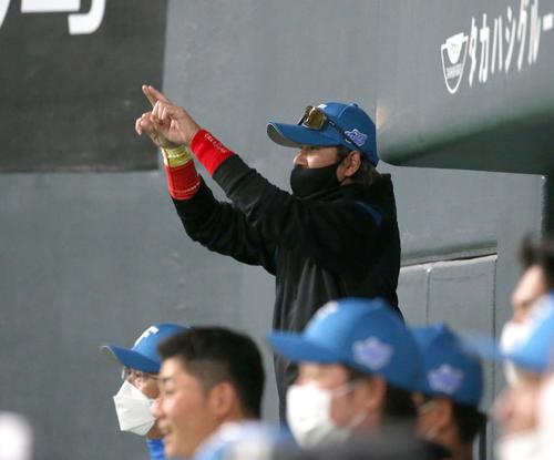 日本ハム対ヤクルト　7回裏、宇佐見の邪飛の判定にリクエストを要求する新庄監督（撮影・黒川智章）
