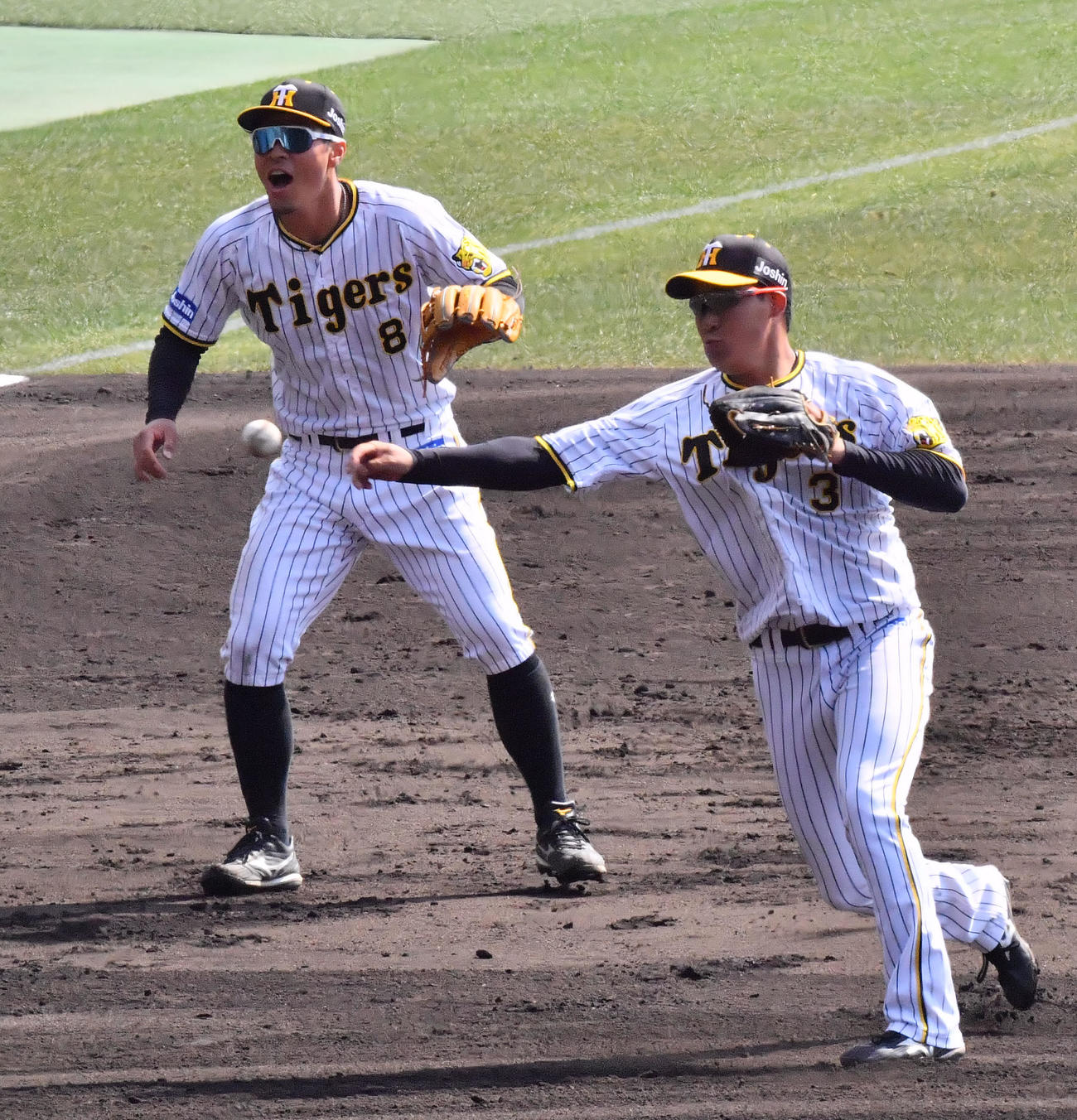三塁でノックを受ける佐藤輝（左）と大山悠（撮影・和賀正仁）