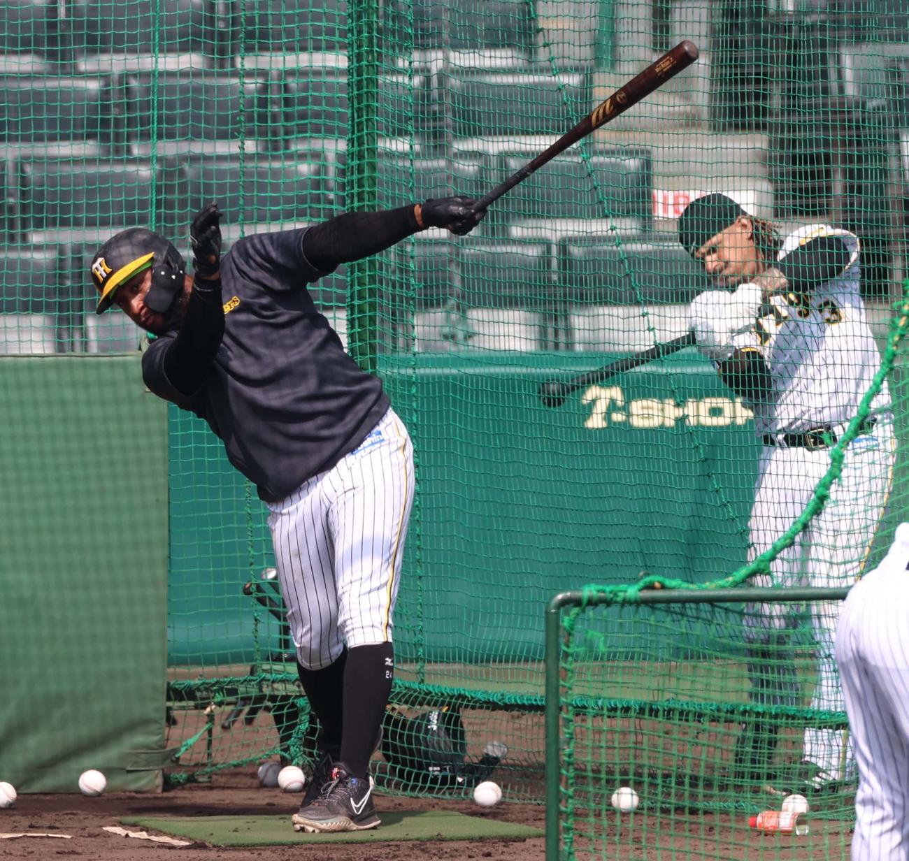 フリー打撃を行うロハス。右はマルテ（撮影・上田博志）