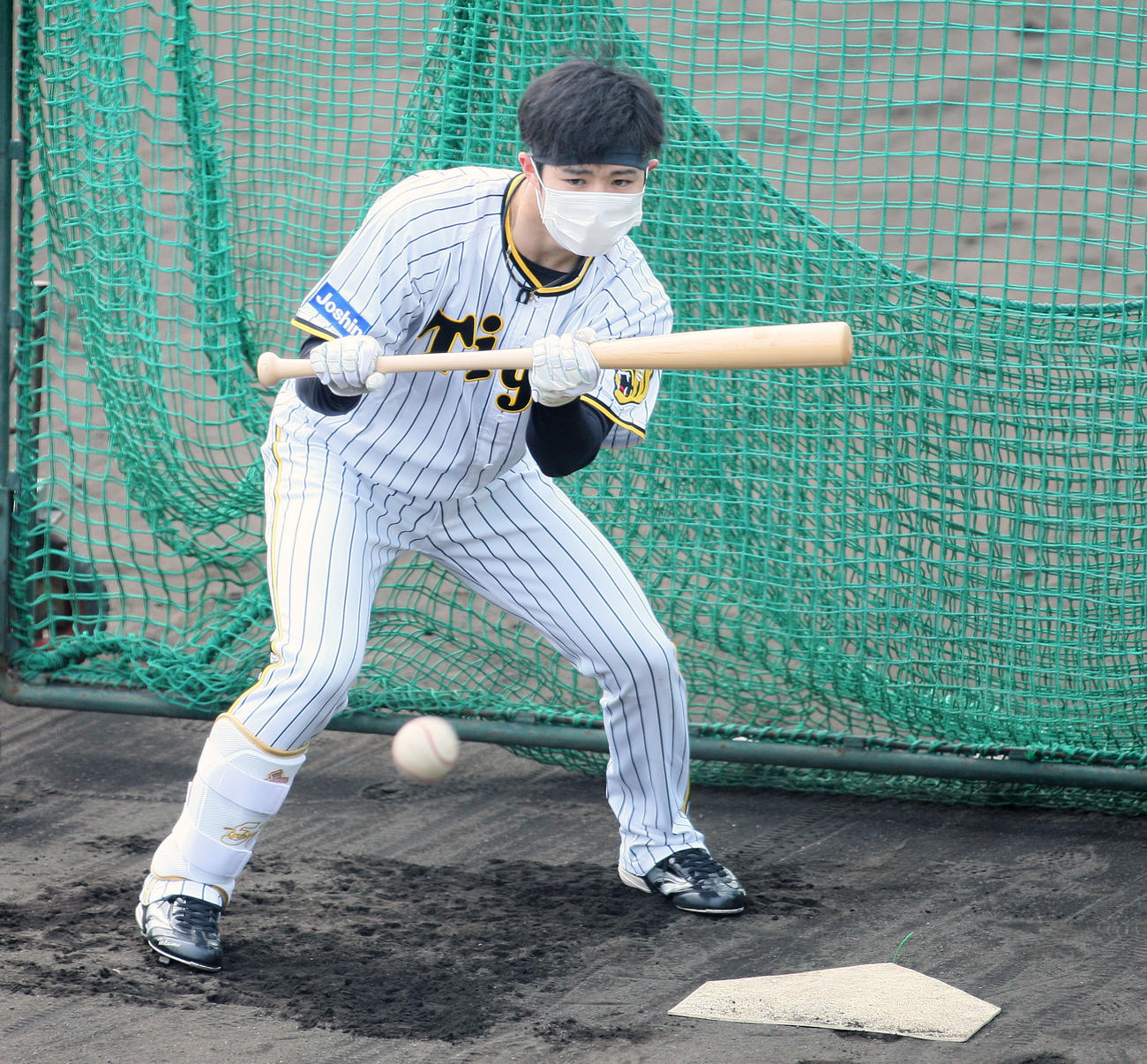 鳴尾浜球場でバント練習する阪神中野（撮影・上山淳一）