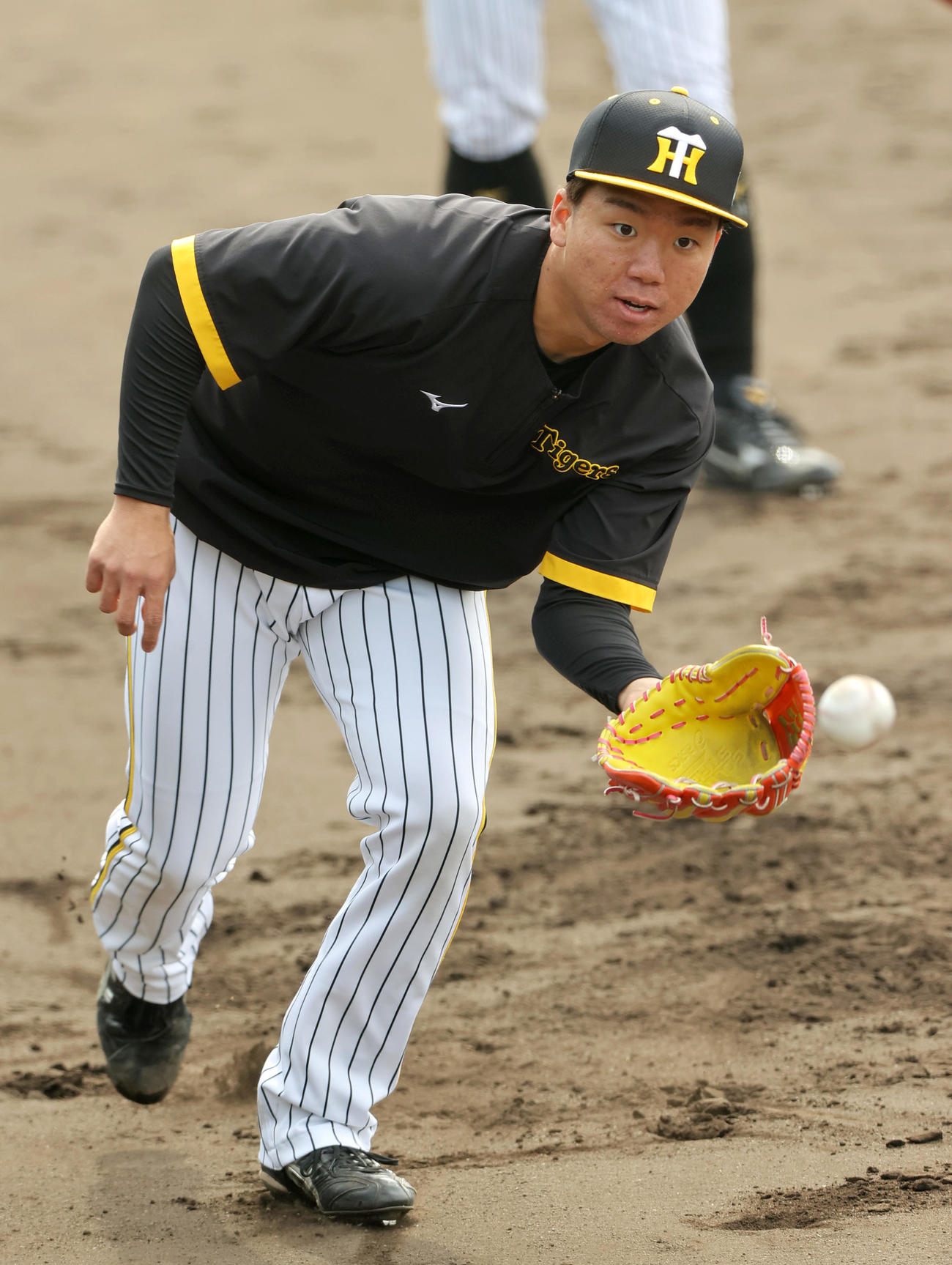 鳴尾浜球場でノックを受ける阪神村上（撮影・上山淳一）