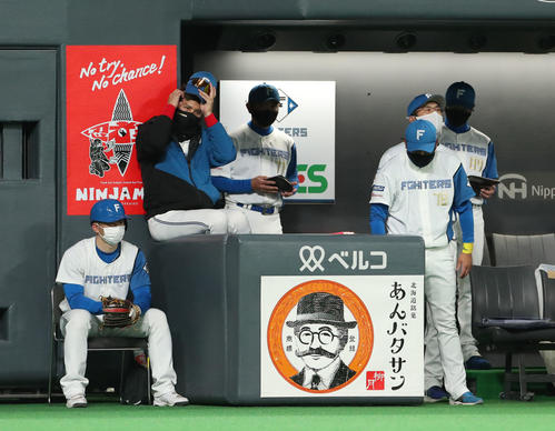日本ハム対ロッテ ベンチで頭をかく日本ハム新庄監督(左から2人目)(2022年4月5日撮影)