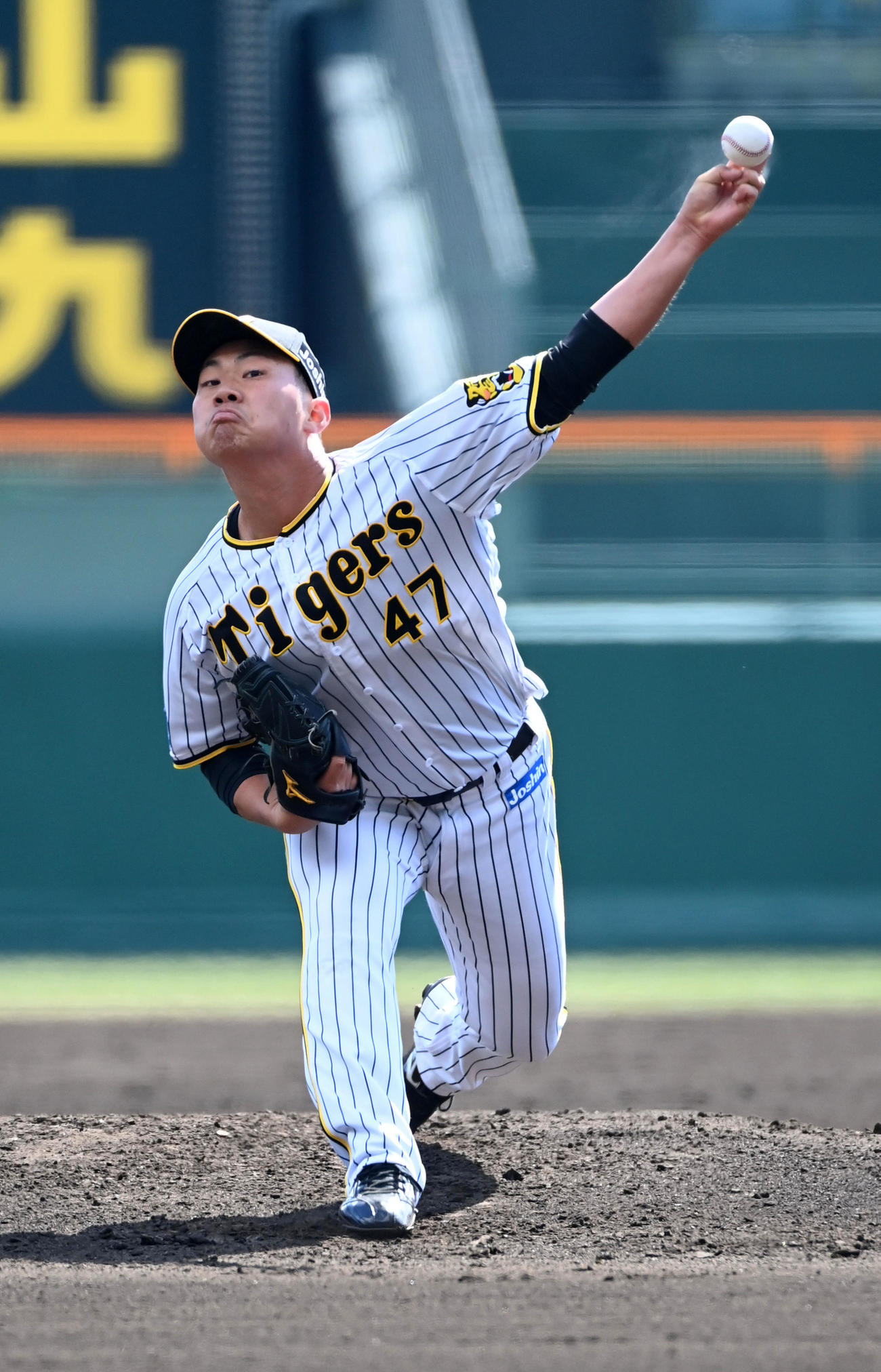 阪神対楽天　阪神先発の桐敷（撮影・前岡正明）