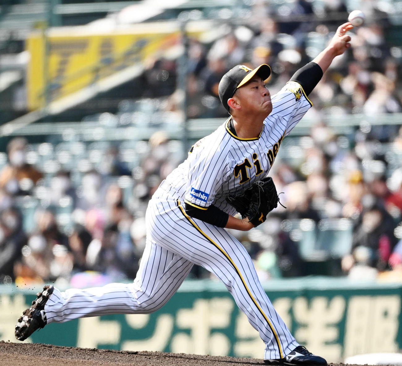 4回1安打無失点と好投した阪神先発の桐敷（撮影・前岡正明）