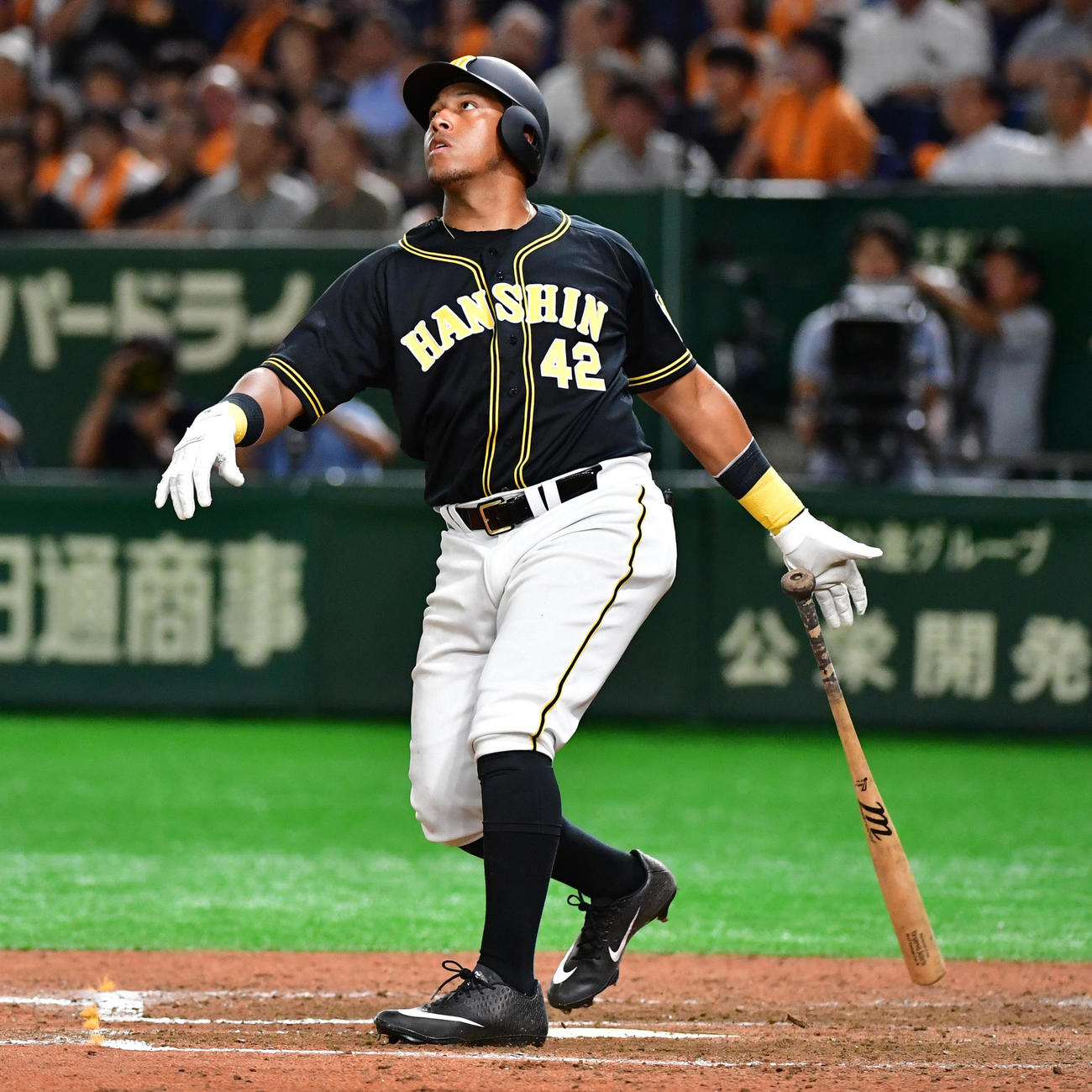 来日5日後にスタメン、決勝本塁打を放った阪神ソラーテ（19年7月26日撮影）