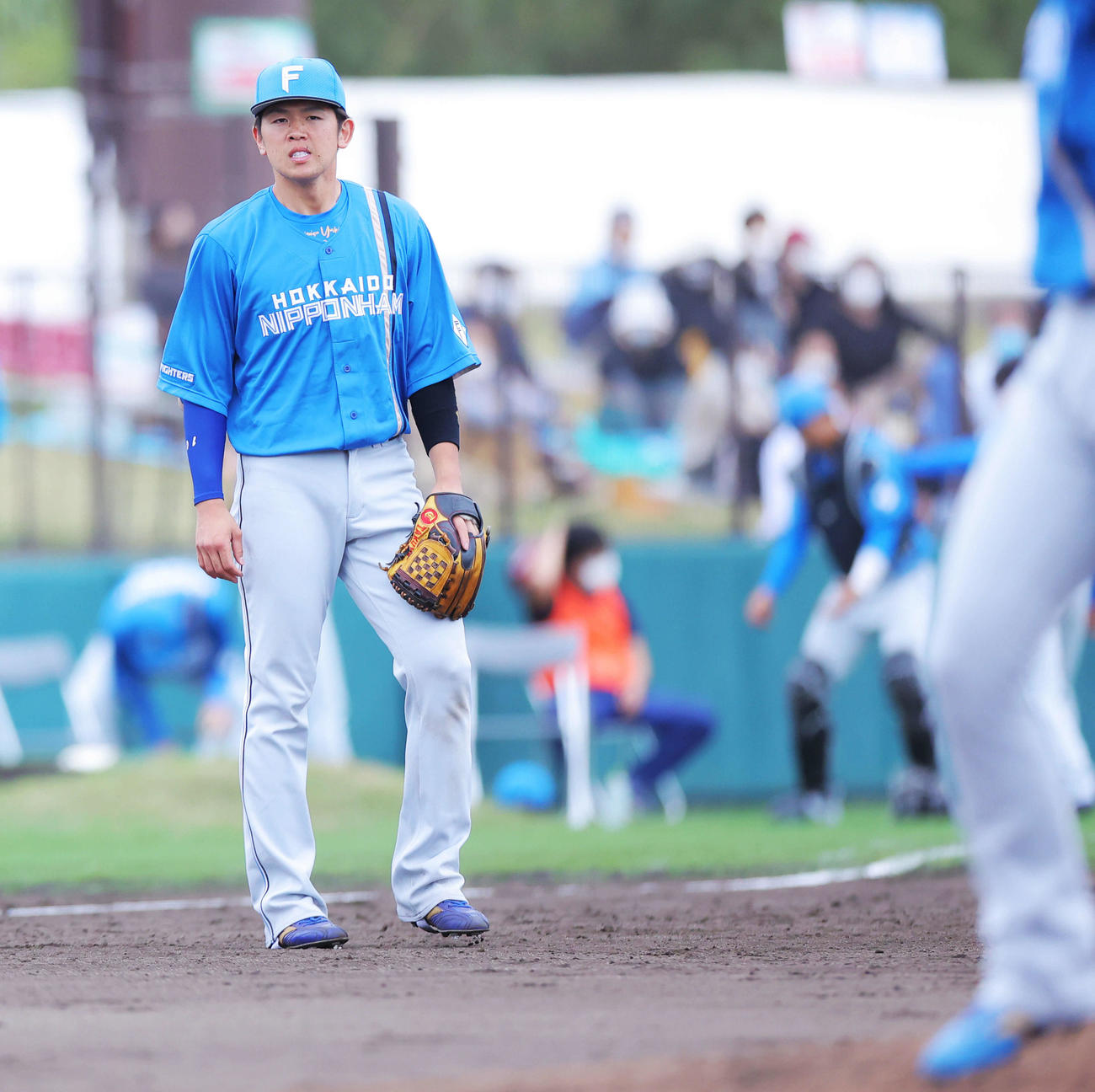 三塁手で先発出場した日本ハム清水（2022年2月13日撮影）