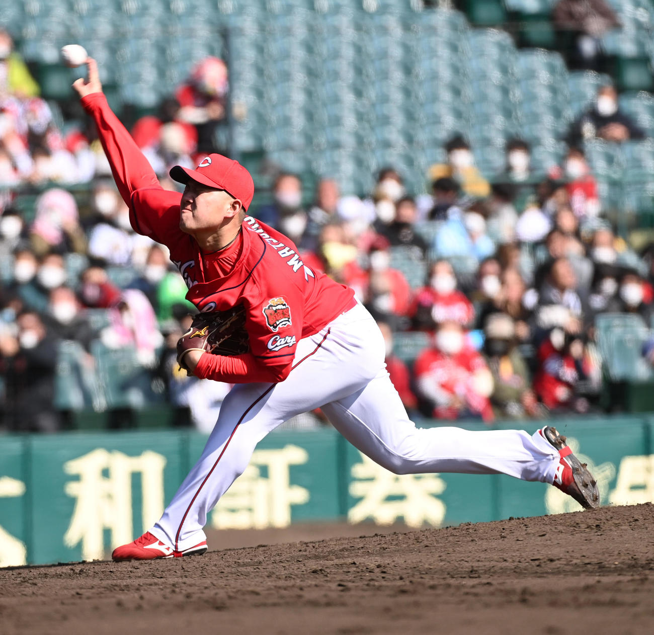 阪神対広島　広島2番手の松本（撮影・前岡正明）