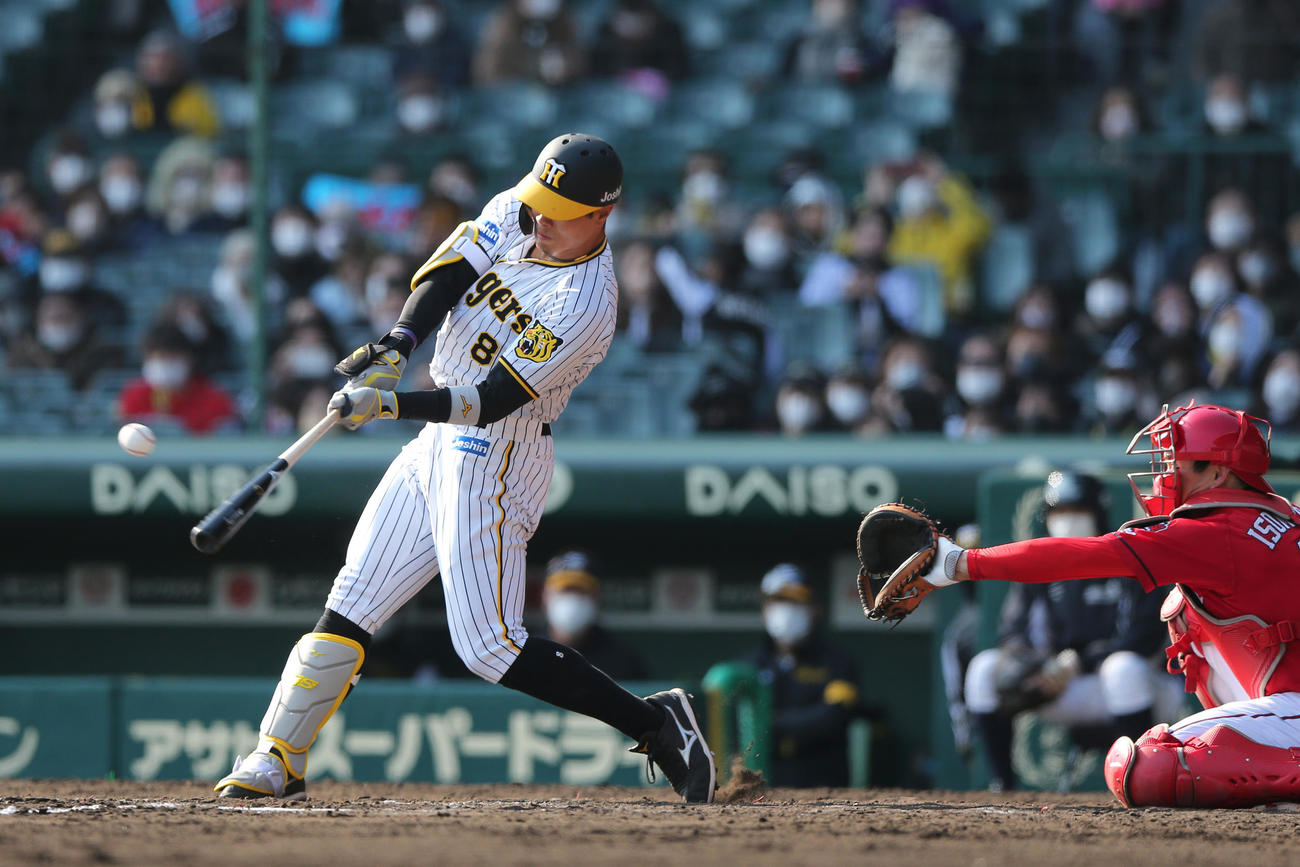 阪神対広島　6回裏阪神1死一、二塁、佐藤輝は右前適時打を放つ（撮影・上山淳一）