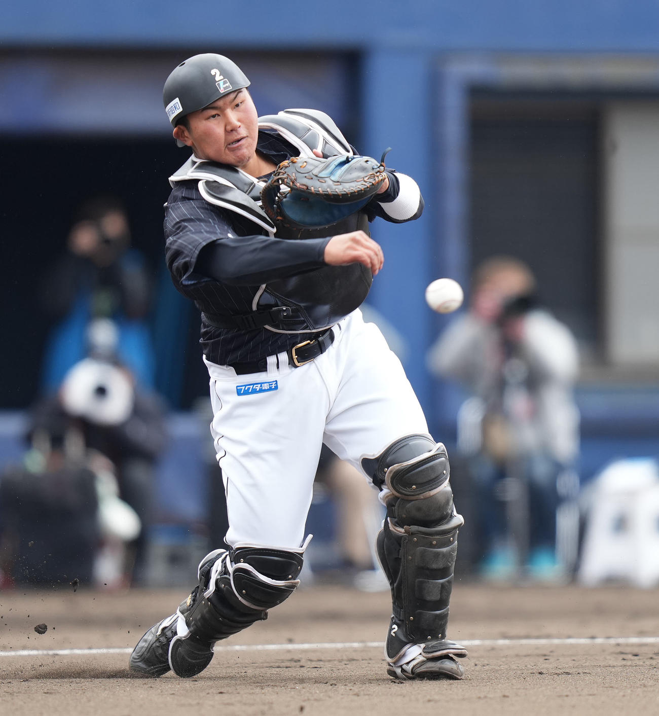 日本ハム対ロッテ　4回裏日本ハム無死、宮田のバント球を一塁へ送球する捕手松川（撮影・鈴木みどり）