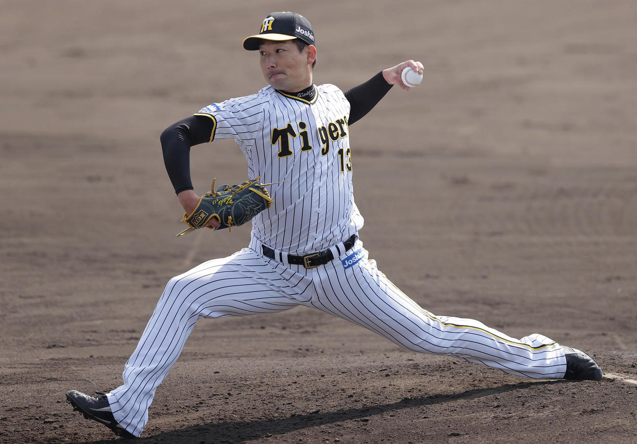 シート打撃に登板する阪神岩崎（撮影・前田充）