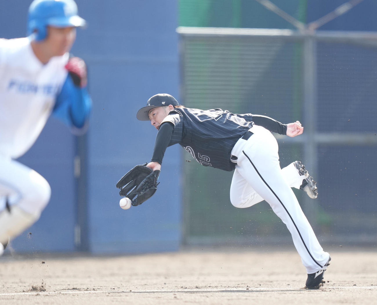 日本ハム対ロッテ　5回裏日本ハム無死一、三塁、宮田のバント球を本塁へ送球する美馬。結果は野選（撮影・鈴木みどり）