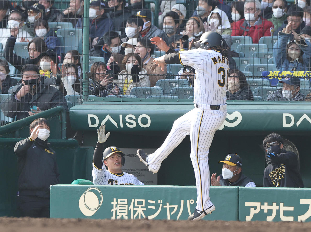 阪神対広島　6回裏阪神1死満塁、マルテ（手前）はロハス・ジュニアの右犠飛で生還しベンチ前でラパンパラポーズをする（撮影・上山淳一）
