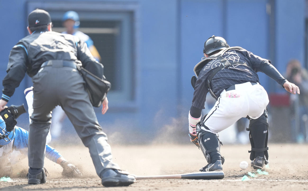 日本ハム対ロッテ　5回裏日本ハム無死一、三塁、宮田のスクイズで生還する三塁走者松本剛（左）。捕手田村（撮影・鈴木みどり）