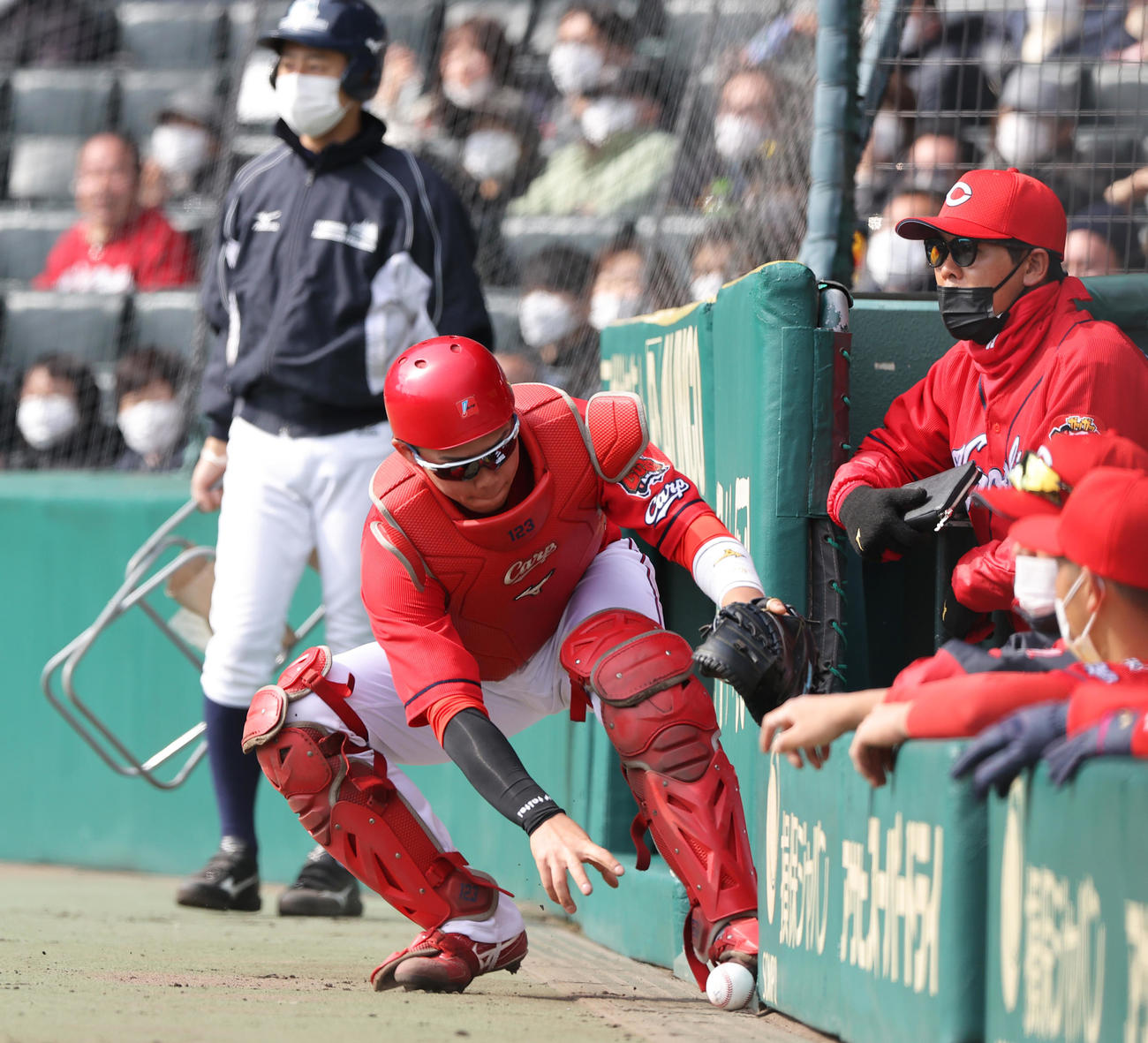 阪神対広島　5回裏阪神1死一塁、打者小野寺の時、黒原の投球はワイルドピッチでベンチ前に転がる球を追う捕手持丸（撮影・上山淳一）