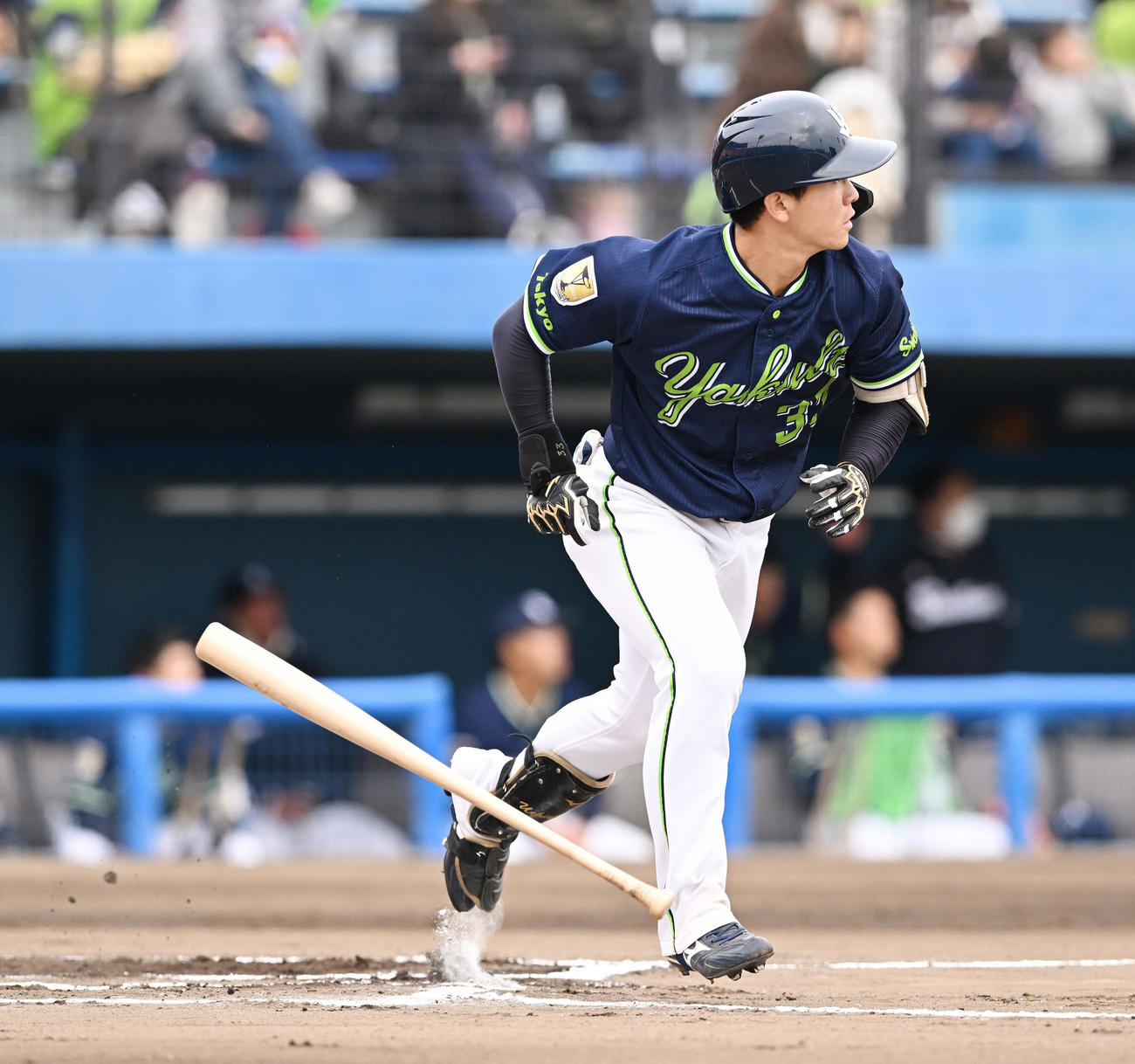 楽天対ヤクルト　6回表ヤクルト2死、代打内山壮はソロ本塁打を放つ（撮影・滝沢徹郎）