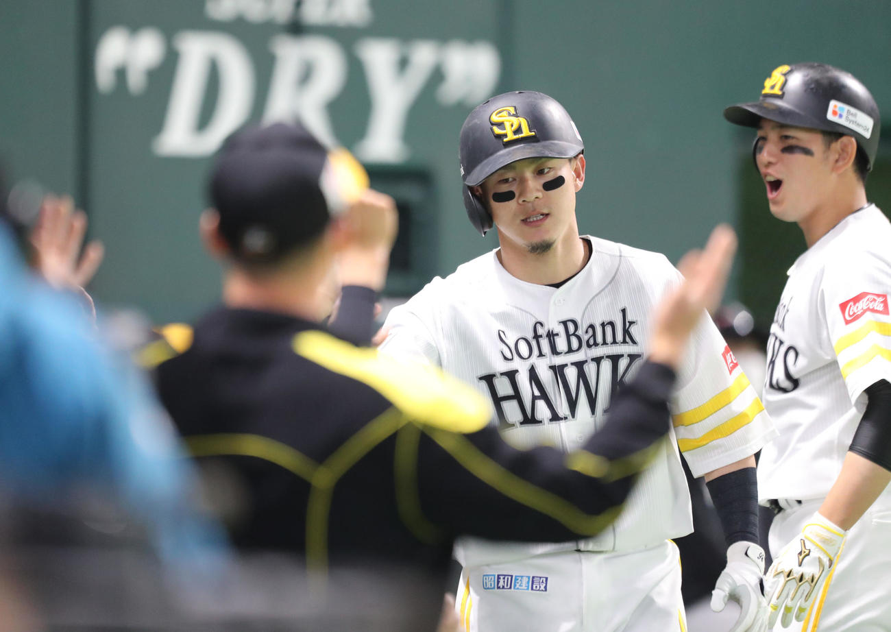 ソフトバンク対巨人　7回裏ソフトバンク2死、牧原大は右超えに本塁打を放ちベンチのナインとハイタッチ（撮影・梅根麻紀）