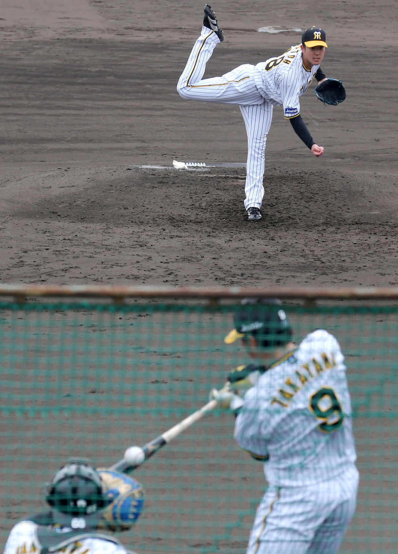 シート打撃で投球する阪神斎藤（撮影・上山淳一）