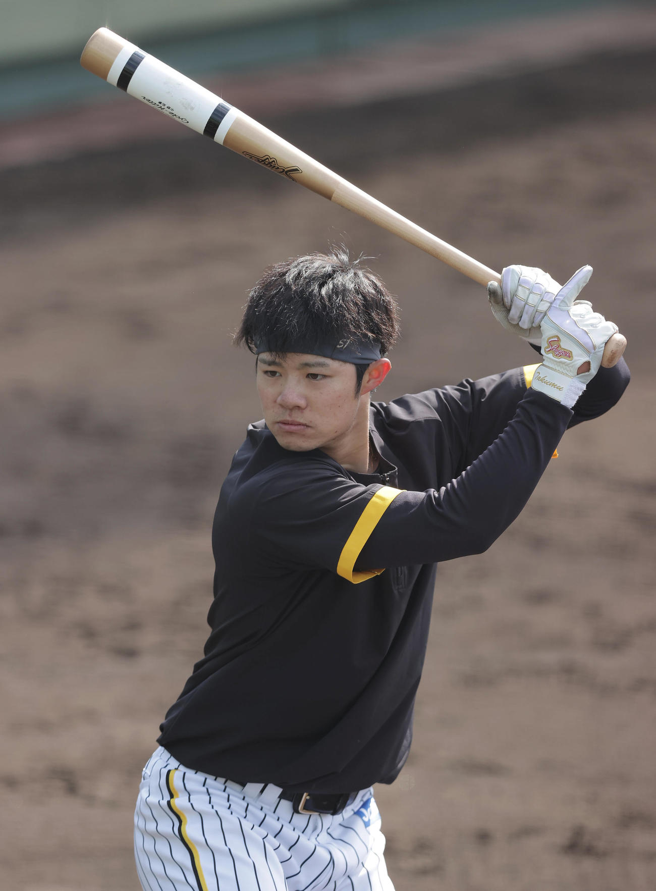 打撃練習を行う阪神中野（2022年3月8日撮影）