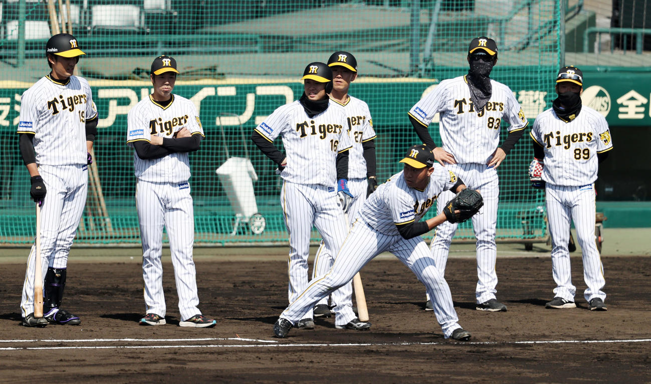 一塁線に転がったボール処理の練習を行う桐敷ら投手陣たち（撮影・加藤哉）