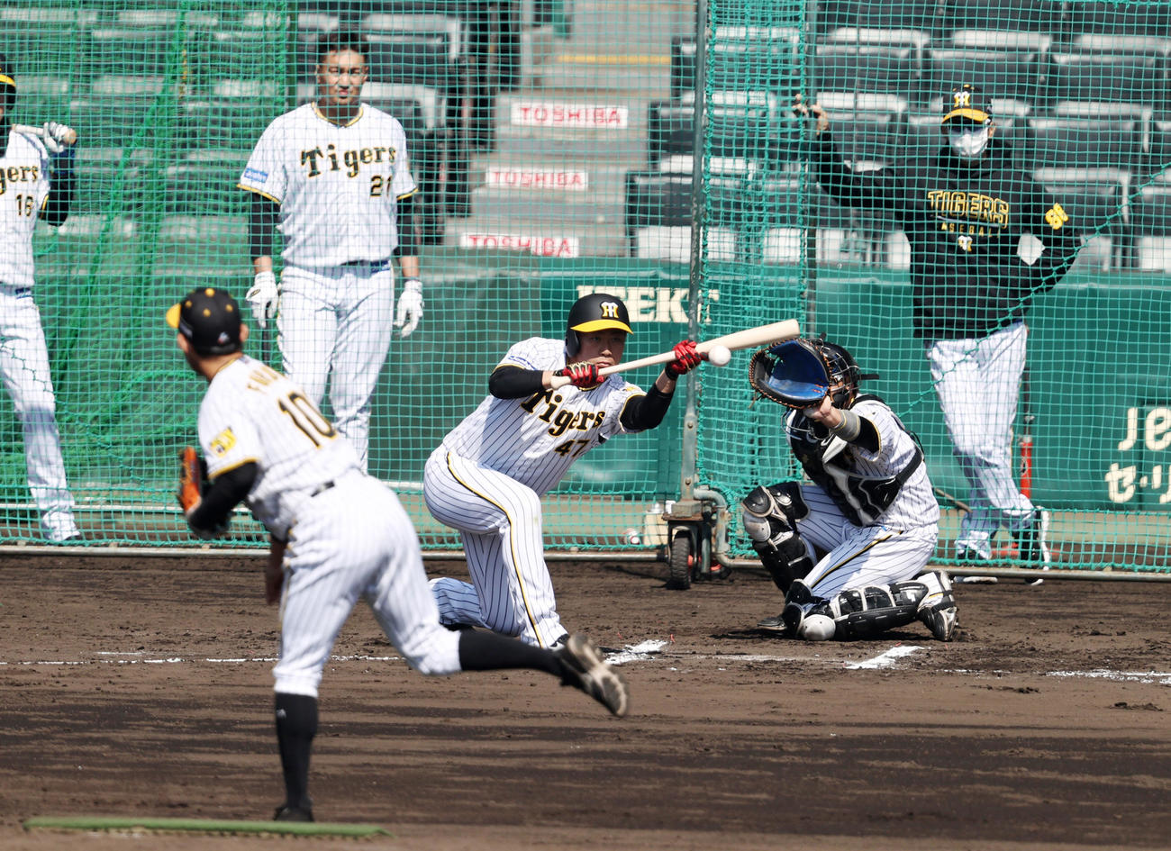 矢野監督（右）が見守る中、バント練習を行う桐敷（撮影・加藤哉）