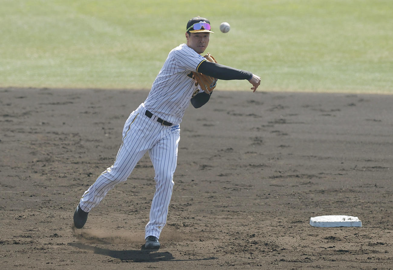 二塁でシートノックを受ける阪神佐藤輝（撮影・前田充）
