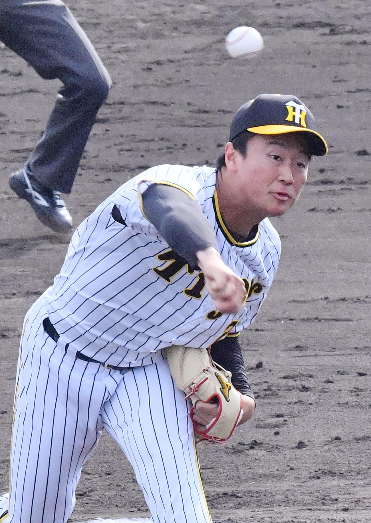 教育リーグ阪神対中日　8回に登板し1イニングを無失点に抑える阪神4番手の森木（撮影・和賀正仁）