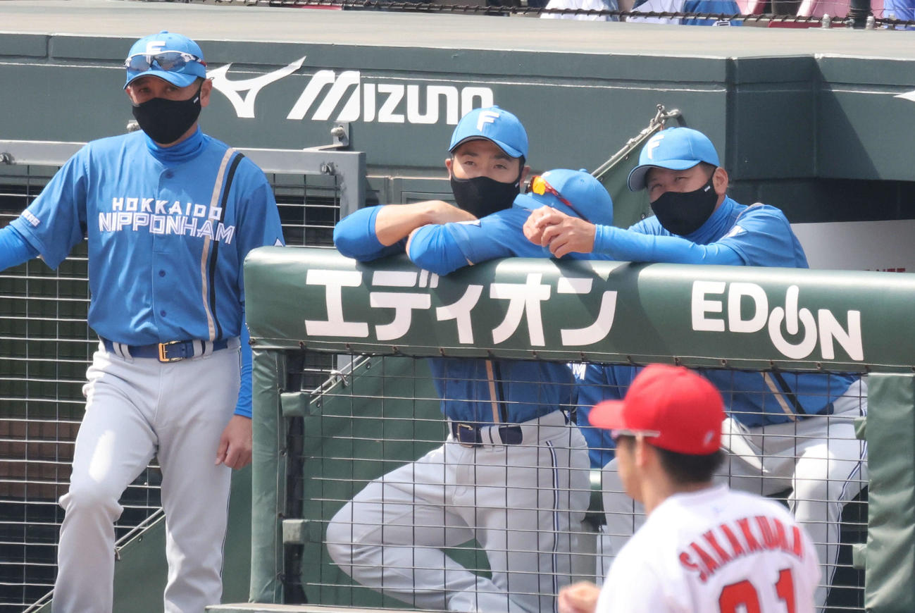 オープン戦広島対日本ハム　1回表日本ハム、ベンチの近藤健介「監督」（中央）（撮影・加藤孝規）